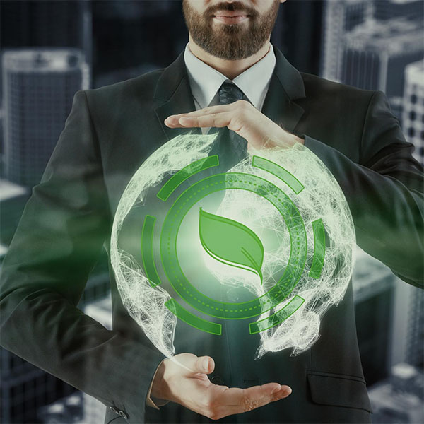 Sostenibilidad en los negocios